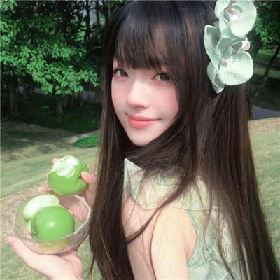 血蝉